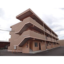 ブルーム白枝 101