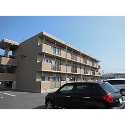 ジュエル白枝 205