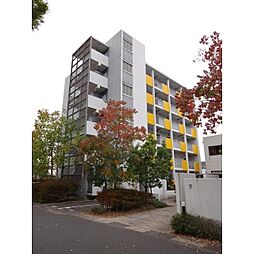 ベーネハイツ 206