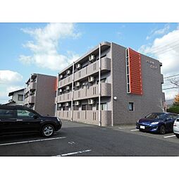 エクセレントウイング 307