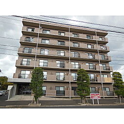 アイマンション今市 404