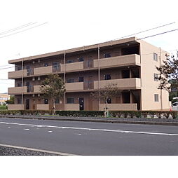 コニーリョ西出雲 305