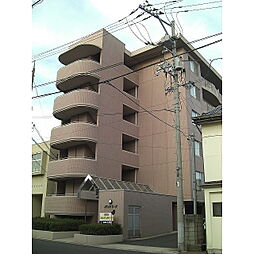 サンディモーラ 602