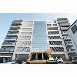 ニューブロッサムハイツ 406