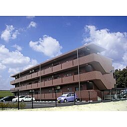 アスペルジュ白枝 206