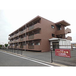 ショコラ白枝 106