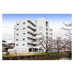 ロイヤルシティ久松 502