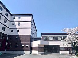 アドバンス若竹 419