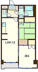 パラシオフェンテ 203