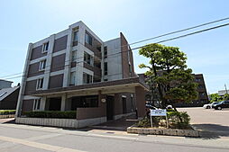 アーデルテラス芝園 203