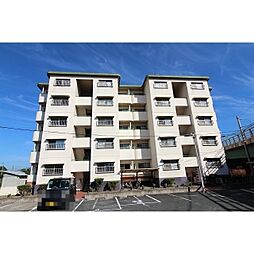 フジパレス米子 502