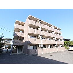 コンチェルトＭ 203