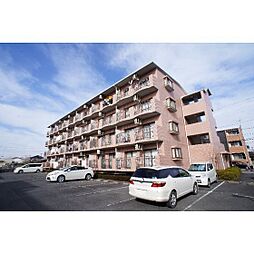 ルミエール中居　壱番館 303