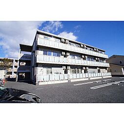 ピアーチェ・ヴォーレ 303