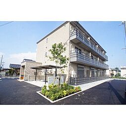 ポール・アベニュー 203