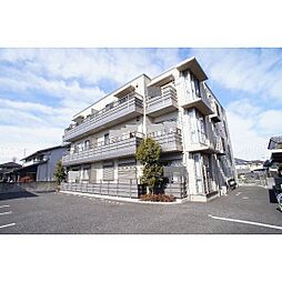 カフーラヴィータ 305