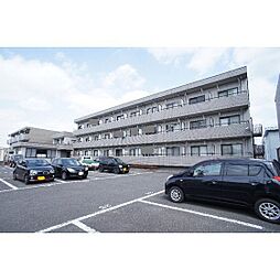 ガーデンプレイス中居町 207