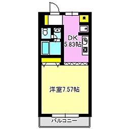 グランドキャニオン 503