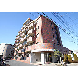 木村ロイヤルマンションIII