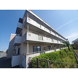 つくば市松野木