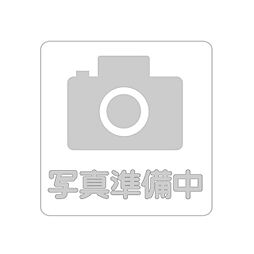 武井住宅 001