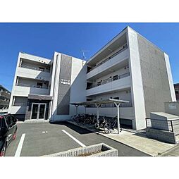 オリーブ学園の森