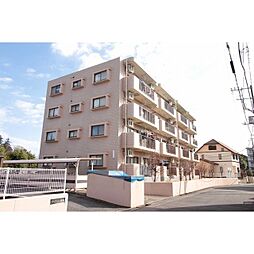 アベニュー並木 403