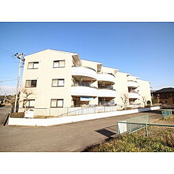 ルンビーニ並木 303