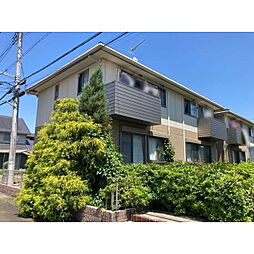 シャングリラ A101