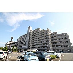 シャルマンコーポ土浦514 514