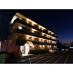 シティパルみぎもみ 407