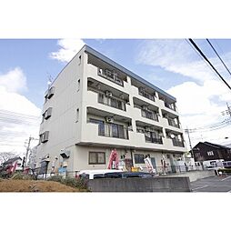 ロイヤル・ヤエ 303