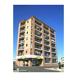 Pino 402