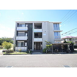 プロシードFO（エフオー） 202