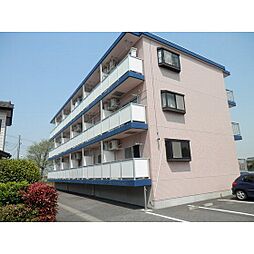 エスシーマンション 205