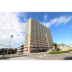 レヴィールひたち野3番街ステーションフロントタワー 1304