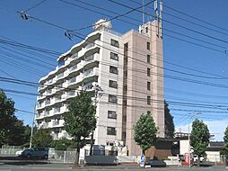 プレシャス長者 203号室
