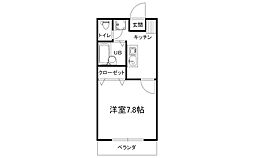 プリマヴェーラIII 202