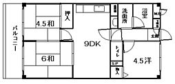 ニシキファースト 303