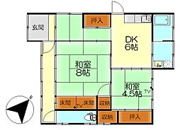 春の木洩れ日とエスプレッソ