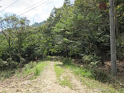 山県郡北広島町川井の土地