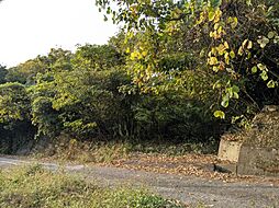 江田島市沖美町是長の土地