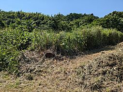 江田島市能美町鹿川の土地