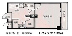 パラツィーナ光南 201