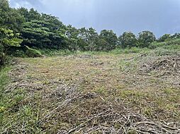 国頭郡今帰仁村湧川の土地