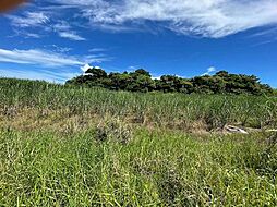 名護市済井出の土地