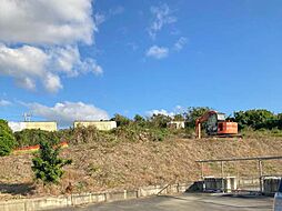 南城市大里大城