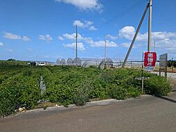 八）仲座土地