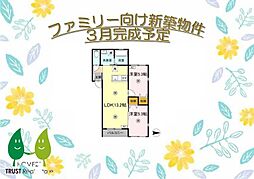 Ｎｏｖａ　Ｃｏｕｒｔ　　101 101
