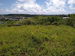 島尻郡八重瀬町安里の土地